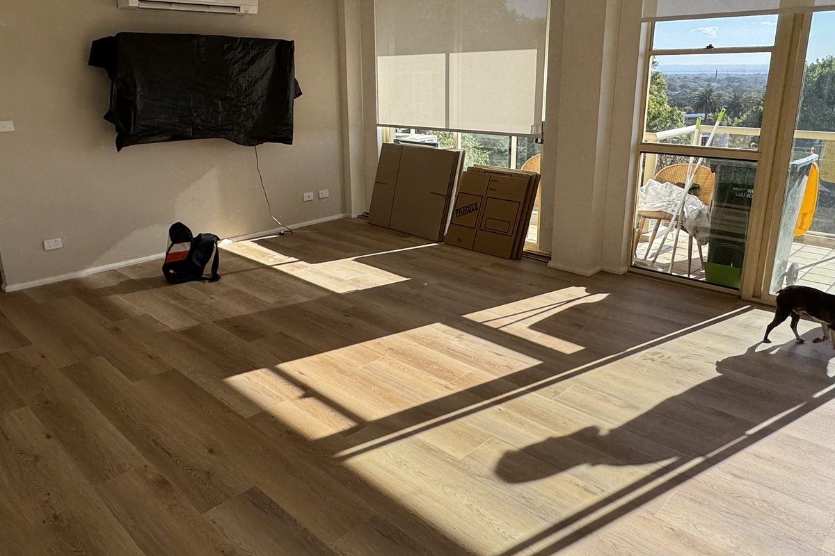 Afternoon light across a completed timber-look floor in an open living room
